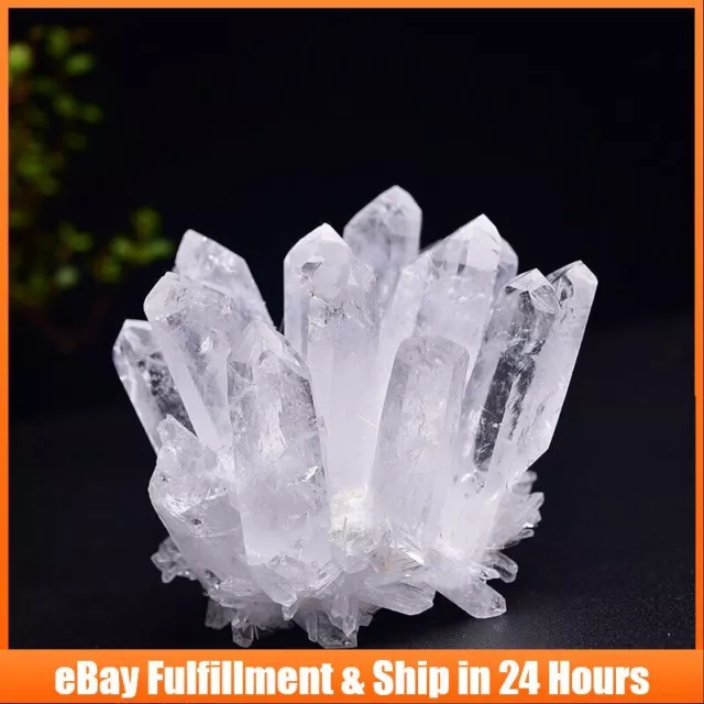 2Pcs 150g Natural Clear Quartz Crystal Cluster Stone Druzy Geode Specimens Reiki