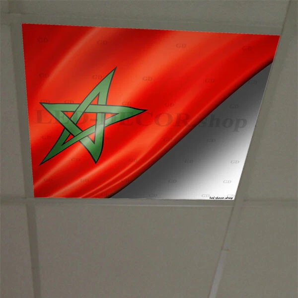 Décor Diffusant Ref: Vision Sous-Marine Tortue Corail. Pour Dalles Led 60x60cm De Faux Plafonds