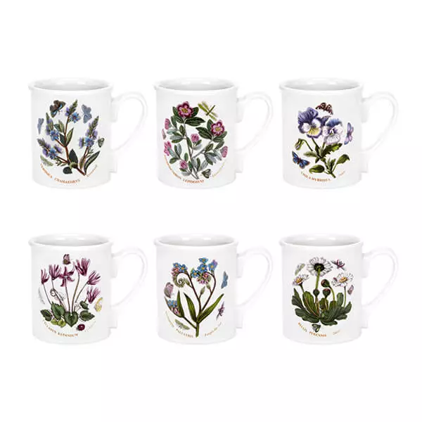 Portmeirion Botanic Garden Breakfast Mug Set of 6