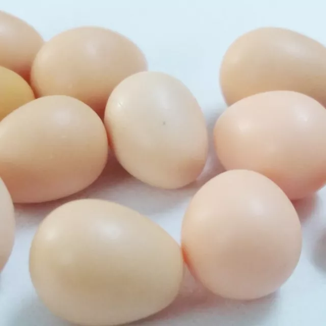 12 Chicken Egg Handmade Handcraft Dollhouse Miniature Mini Clay Food Accessories