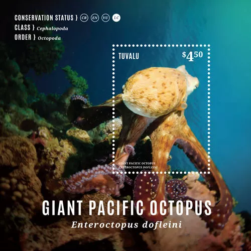 Tuvalu 2014 - Giant Pacific Octopus Stamp - Souvenir Sheet MNH