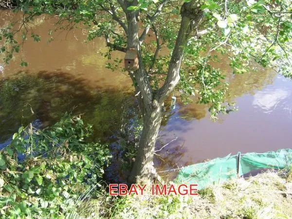 Photo  Bird Box After The Oughtibridge Flood In June 2007 By Comparing The Two P