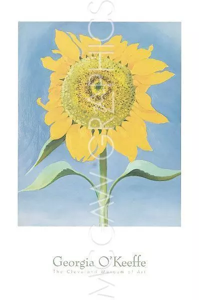 ART PRINT Sunflower New Mexico 1935 Georgia OKeeffe