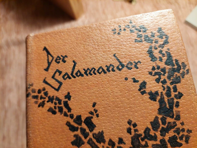 Paul Heyse DER SALAMANDER Tagebuch TERZINEN Schöner LEDER HANDEINBAND Unikat 6