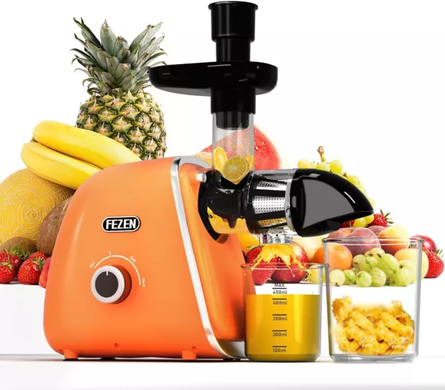 Cold Press Juicer Fezen Juicer Machines Vegetable and Fruit Masticating juicer