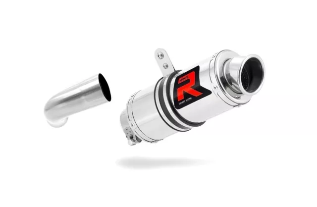 Silenziatore Marmitta DOMINATOR Gp I BMW F800S 06-12 + DB Assassino