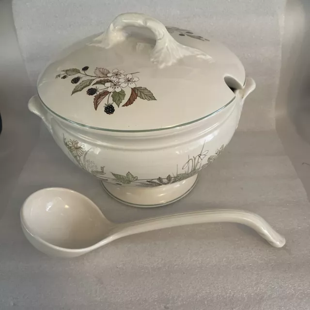 Beautiful Royal Winton Coloroll Large Soup Tureen Blackberry design With Ladle