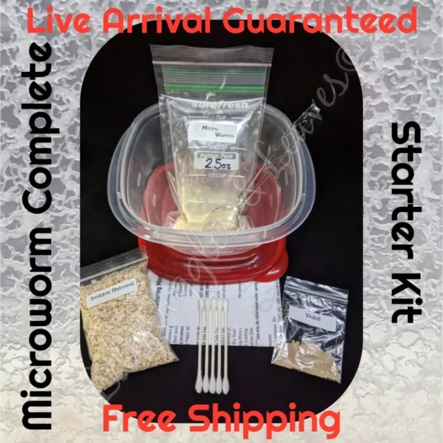 Microworm Complete Starter Kit -HIGHLY RATED AMONG BUYERS - Fish Food, Live Food