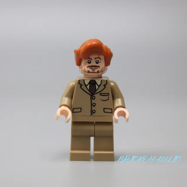 Lego Professor Remus Lupin 4867 Harry Potter Minifigure