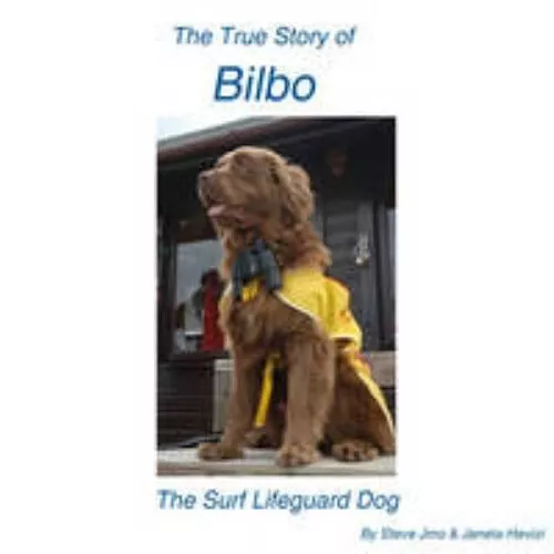 True Story Of Bilbo The Surfen Rettungsschwimmer Taschenbuch Janeta Hevizi