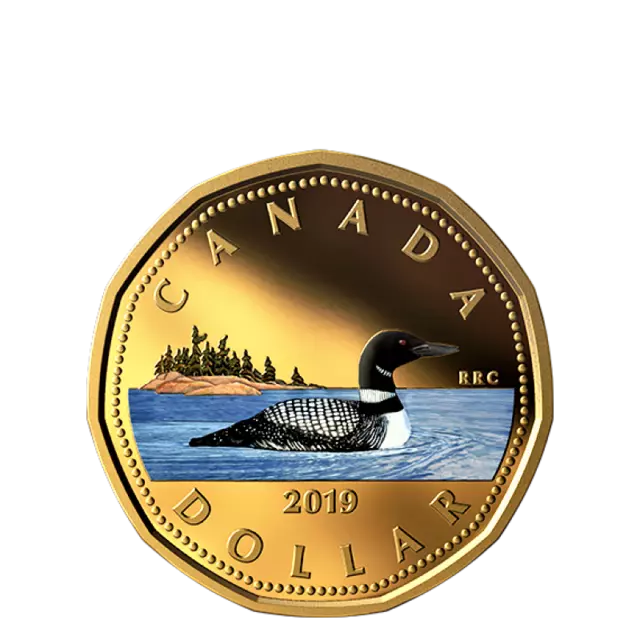 🇨🇦 Rare Canada $1 Special Dollar Coin Loonie, Coloured Gold Plated, UNC, 2019