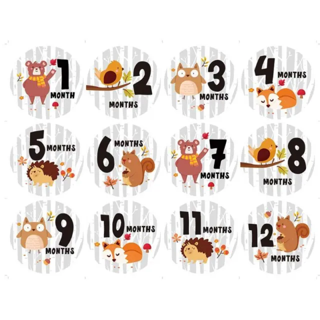 12 Pcs/Set Newborn Milestone Memorial Month Stickers Floral Baby