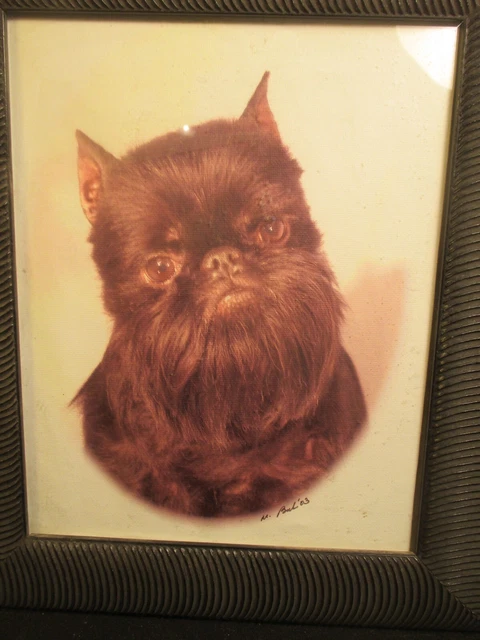 Brilliant Black Brussels Griffon Dog Water Color Painting