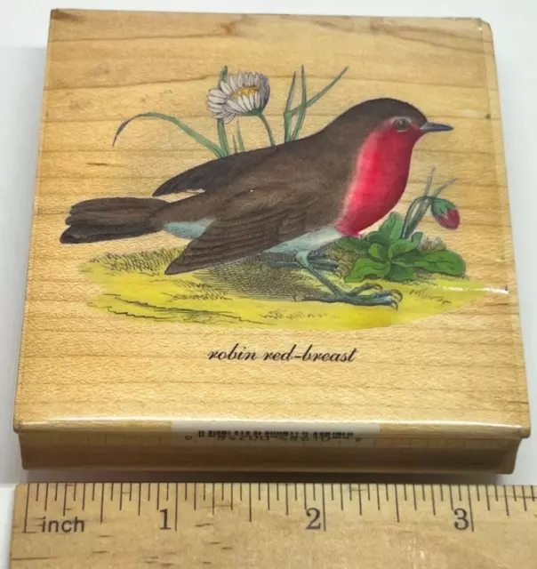 All Night Media ROBIN RED BREAST BIRD FLOWERS Rubber Stamp TINA HIGGINS