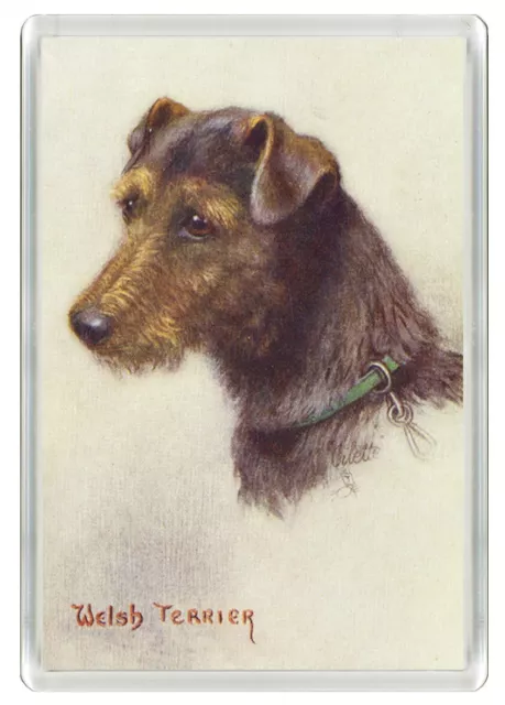 Welsh Terrier Dog Head Study Art Print Novelty Acrylic Fridge Magnet Great Gift