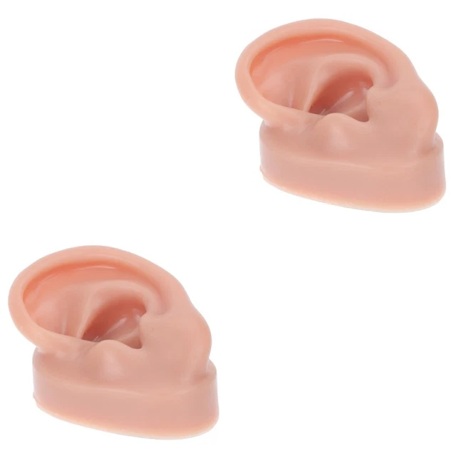 2 pz oggetto di scena modello orecchio umano gel di silice studente finto udito