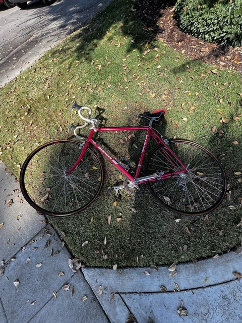 vintage bianchi touring bike