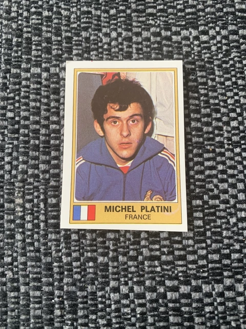 panini sticker platini et henri michel euro football 76 N°104 et