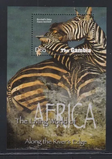 GAMBIA Burchell's Zebra MNH souvenir sheet