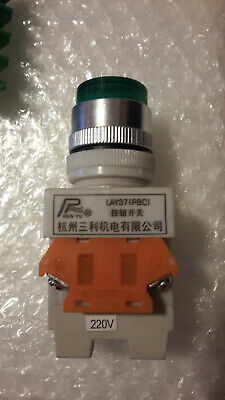 REN YU LAY37 PBC A008375 Green Illuminated Reset Button Switch 22MM 220V 93-03