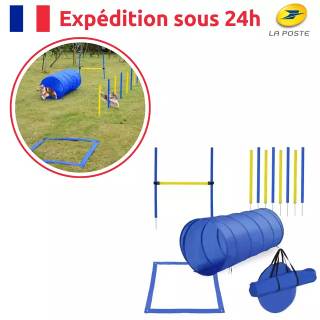 Set d'Agility pour Chien Super Équipement Complet Idéal pour Dressage