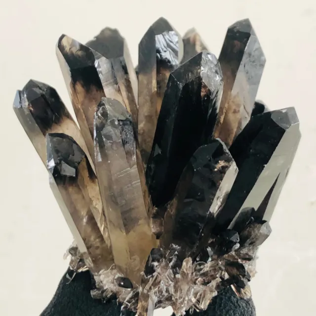 244g    New Find black Phantom Quartz Crystal Cluster Mineral Specimen Healing