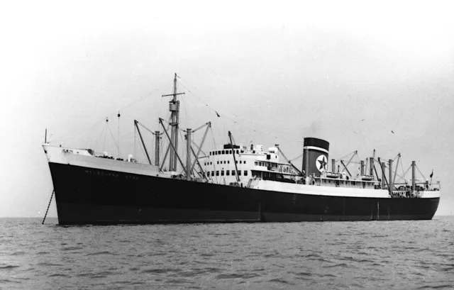 Melbourne Star Ship of the Blue Star Line Shipping Co OLD PHOTO