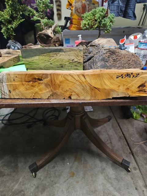 Mulberry Burl Wood Blanks