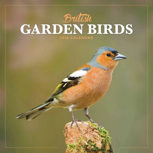 CAROUSEL WORLDWIDE, BRITISH Garden Birds 2026 Mini Wall Calendar EUR 9 ...