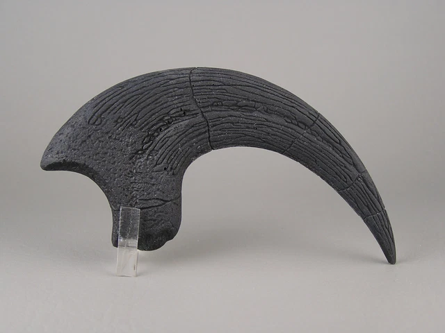 JURASSIC PROP DINOSAUR Velociraptor Claw Fossil Replica 1/1 Scale Resin