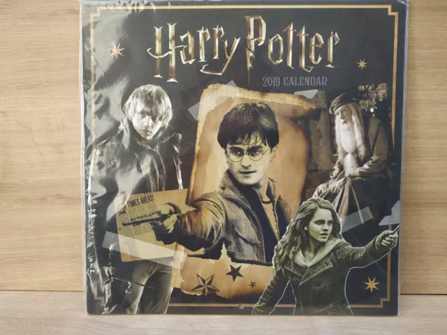 RARE Harry Potter Official 2019 Calendar Square Wall Calendar Format 30x30cm