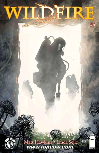 Wildfire #4B VF/NM; Image | Matt Hawkins - Top Cow - we combine shipping