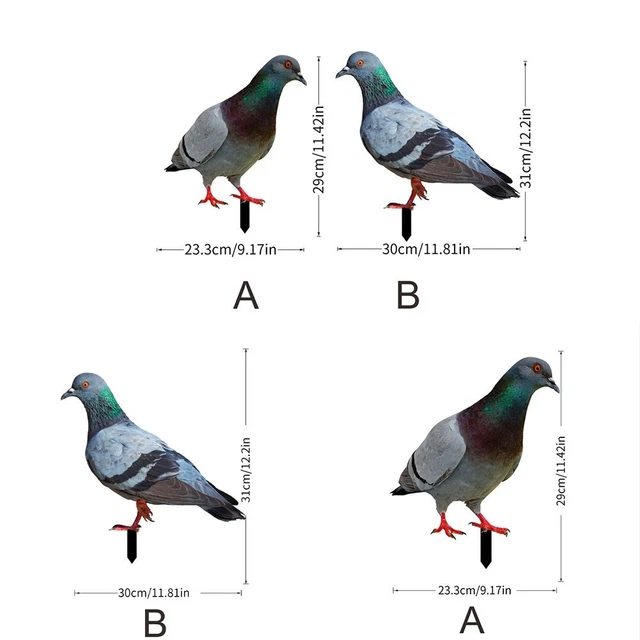 Jeu De Durites De Frein Arrière Pour Honda TRX450R / TRX450ER (2004-2014) - Cylindre Maître Et étrier