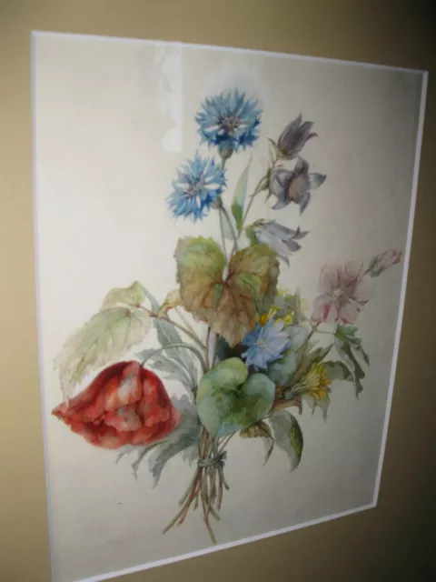 PETTER Franz Xaver, *1791 Wundervolle Blumen