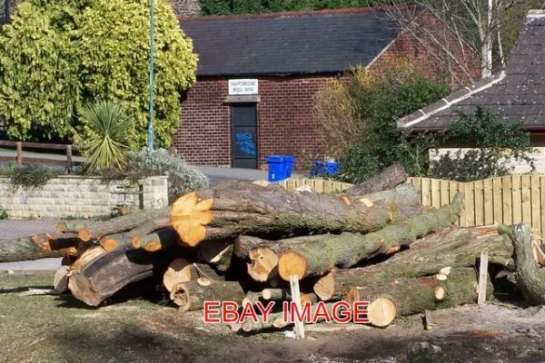 Photo  Felled Trees By River Don In Oughtibridge Following The Floods In June 20