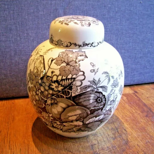 Antique Early 19th Century Masons Patent Ironstone China Ginger Jar with Lid.