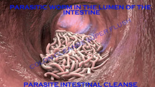 Parasite Intestinal Cleanse Colon Cleanse Super Flush Detox Candida Organic Herb