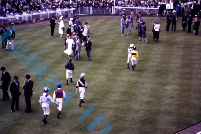 York Races 1982 winners Enclosure Original 35 mm Slide horse racing