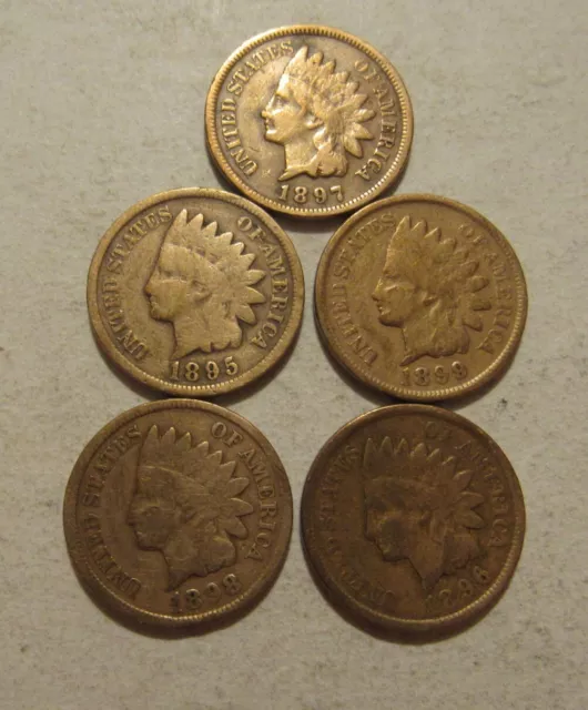 1895 1896 1897 1898 1899 Indian Head Pennies