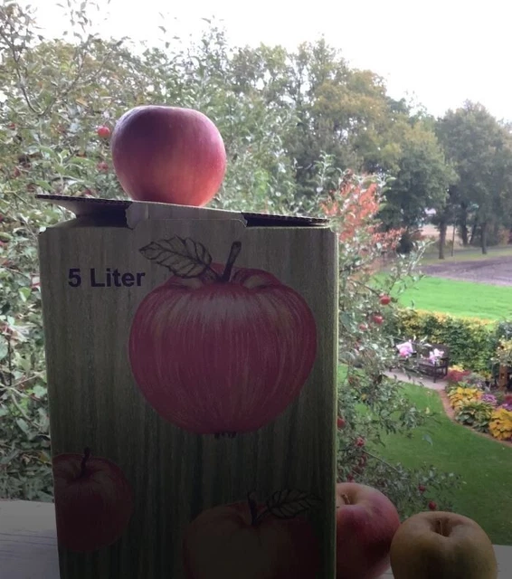Apfelsaft 5 liter Bag in Box ungespritzt