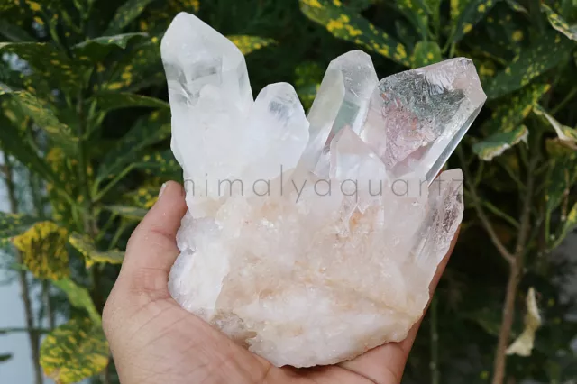 842G Natural Blanco Samadhi Cuarzo Roca Cristal Cuarzo Cluster Mineral Muestra