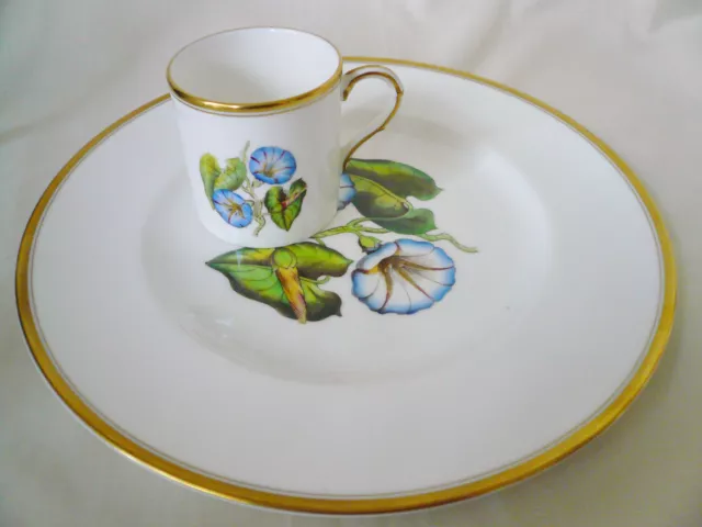 Royal Worcester ~ WILLIAMSON FLOWER ~ Hand Painted Demitasse cup Plate