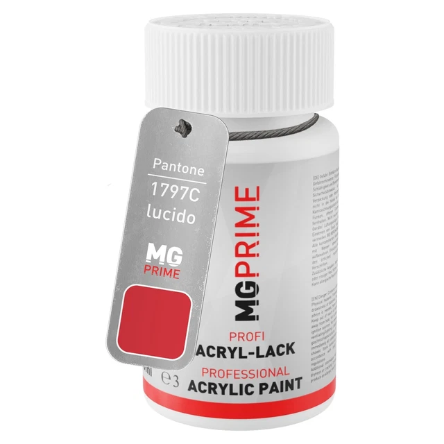 Pantone 1797C Red lucido Stilo di ritocco da 50 ml ad asciugatura rapida