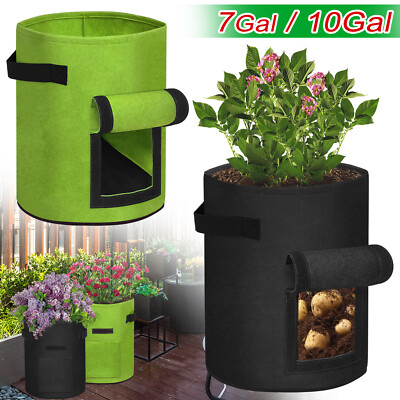 Pflanzsack 4/7/10 Gallone pentole coltiva CENERE SMART pflanzbeutel GIARDINO 2-10x 