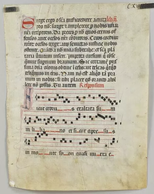 Original ILLUMINATED MEDIEVAL Antiphon on Vellum Leaf Psalm Music Sheet Original ILLUMINATED MEDIEVAL Antiphon on Vellum Leaf Psalm Music Sheet