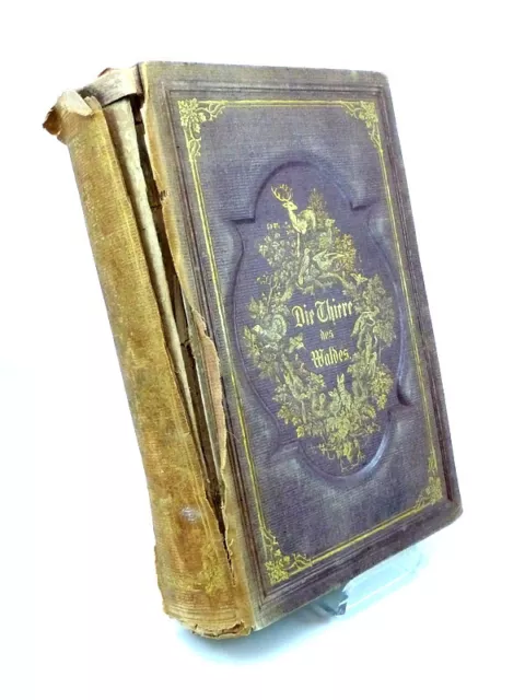 Brehm/Roßmäßler-Thiere des Waldes-20 Kupferstichen+71 Holzschnitten-1. Bd.v.1864