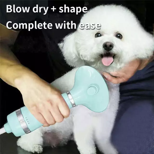 Pet Dog Hair Dryer Comb Upgraded 2-In-1 Pet Grooming Hair Dryer With Hair
