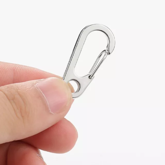 10 Pcs D Shaped Backpack Buckles Alloy Carabiners Clips Key Chain Hook Heavy