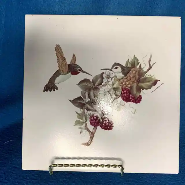 Hummingbird & Raspberries/Blossoms Ceramic Tile  HAND PAINTED, LOIS WHITE