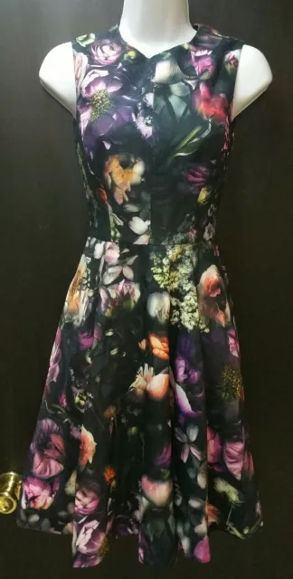 NWOT Ted Baker London Inesia Floral Print Fit and Flare Dress Size 0(US 2)